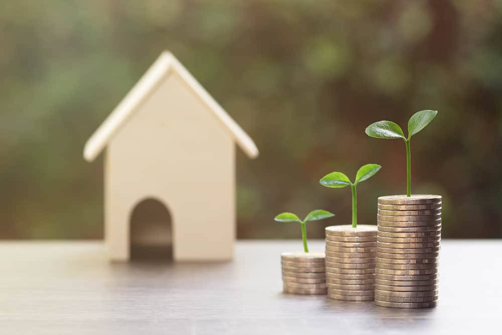 Passive Income