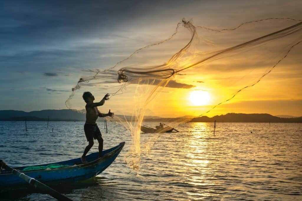 Cast a wide net